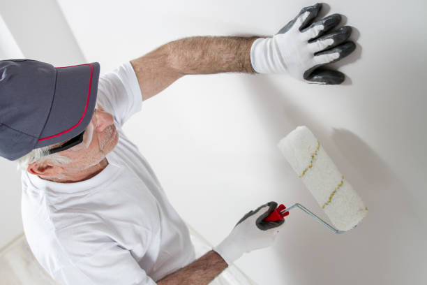 Best Mold-Related Health Consultation  in South Pekin, IL