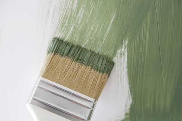 Best Real Estate Mold Inspection  in South Pekin, IL