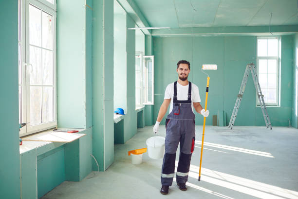 Best Mold Odor Removal Services  in South Pekin, IL