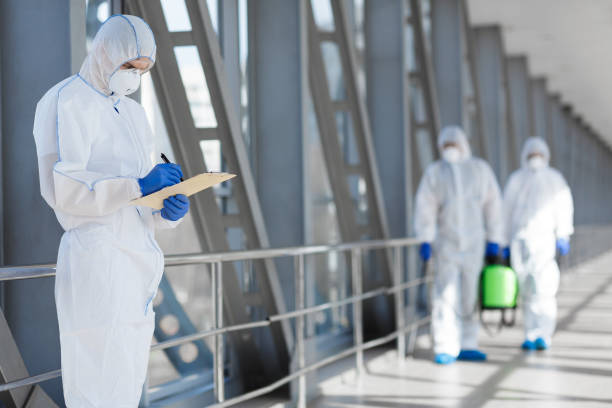 Best Mold Prevention Services  in South Pekin, IL
