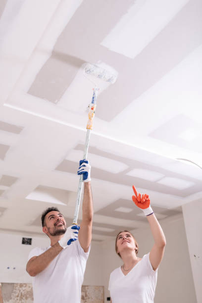 Best Asbestos and Lead Testing During Mold Inspection  in South Pekin, IL