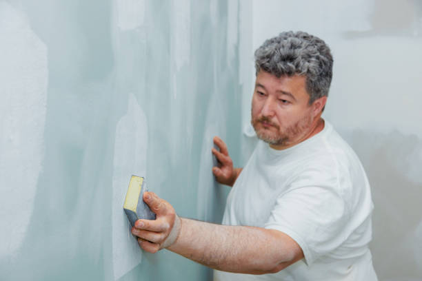 Biohazard Mold Removal in South Pekin, IL